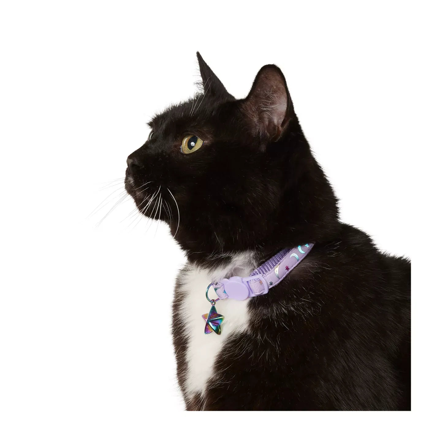 Whisker City® Purple Moons Cat Collar, Easy Release Cat Collar, Breakaway Collar, Kitten, Lavender