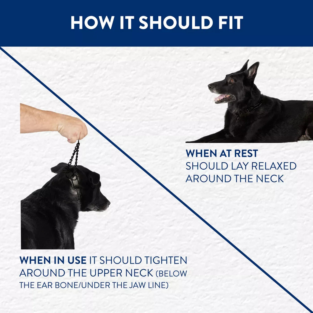 Top Paw® No-Pull, Prong Dog Collar, Black