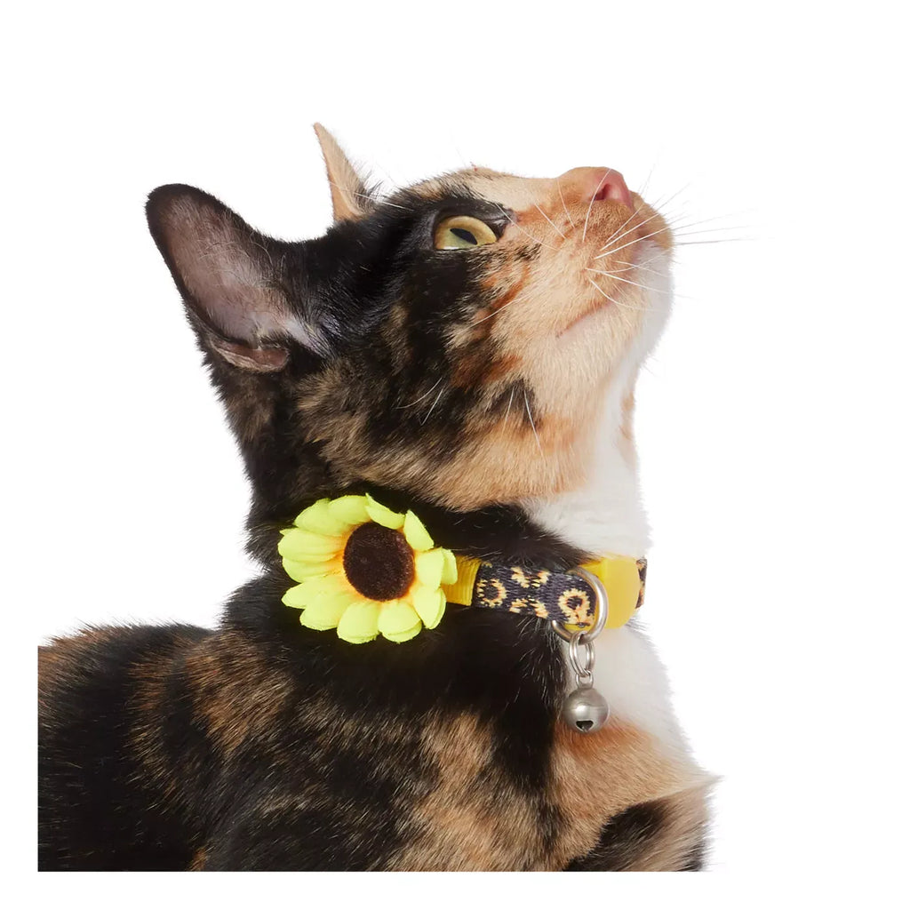Whisker City® Sunflower Cat Collar, Black & Yellow Cat Collar, Break-Away Collar, Mulitple Sizes