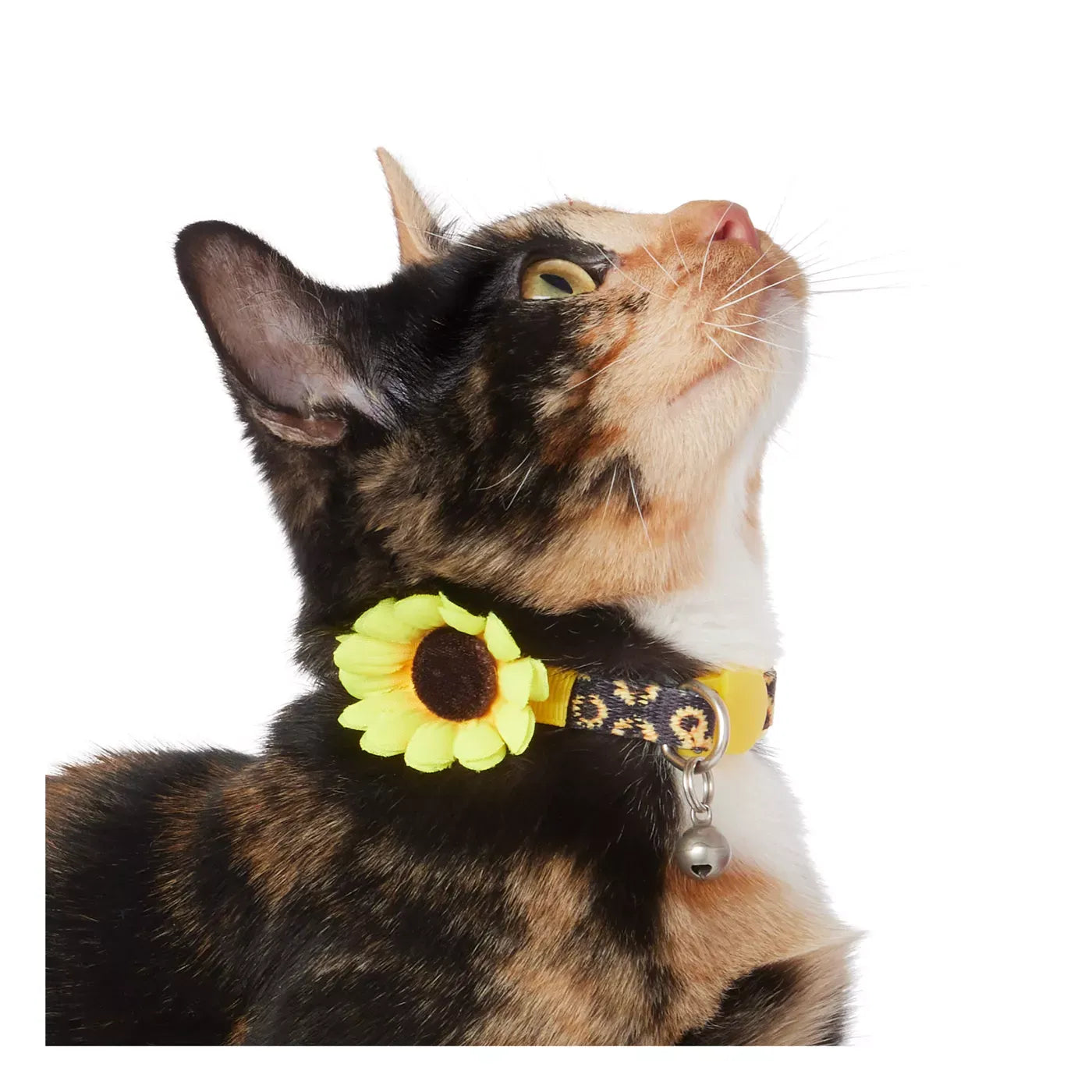 Whisker City® Sunflower Cat Collar, Black & Yellow Cat Collar, Break-Away Collar, Mulitple Sizes