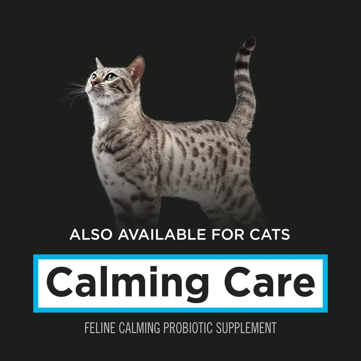 Purina Pro Plan Veterinary Supplements Calming Care Powdered Dog Calming Probiotic, 30 g