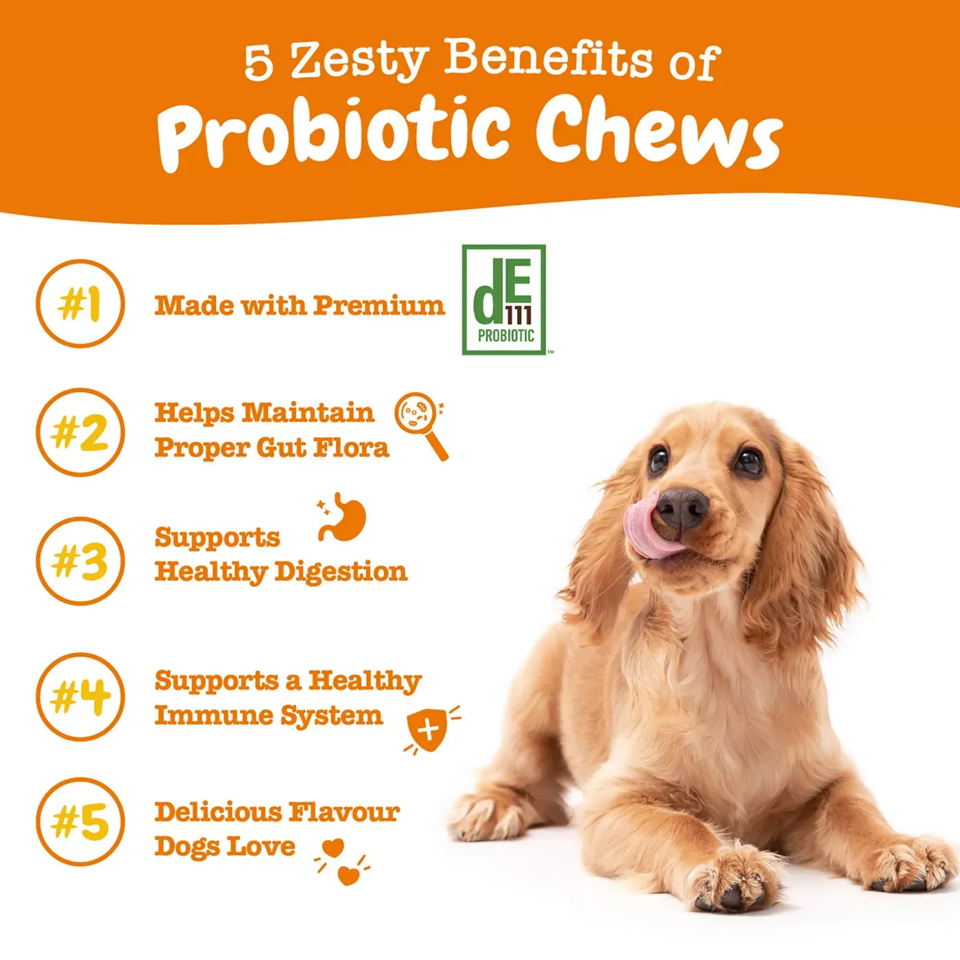 Zesty Paws Probiotic Chews - Pumpkin