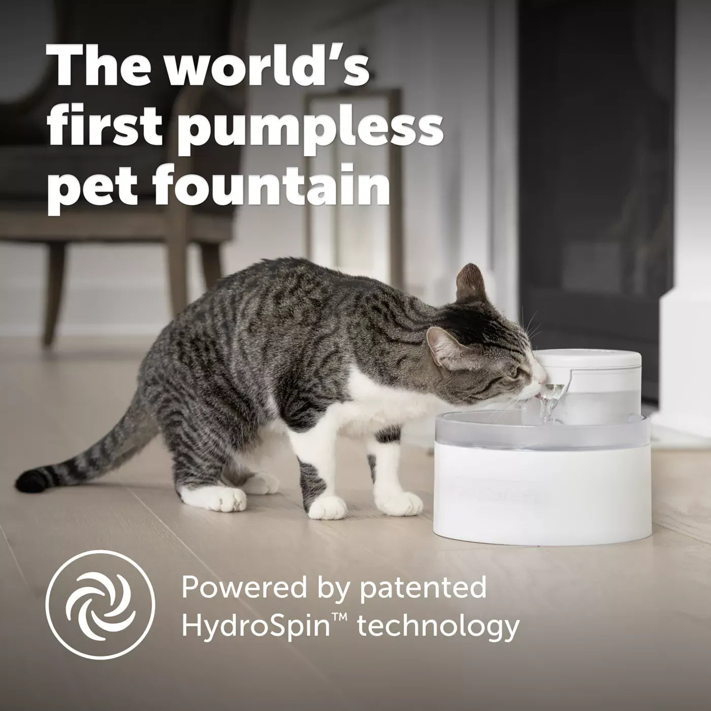 PetSafe® Outlast Pumpless Hydrospin Water Fountain 60 oz/1.7L- Water Filter Included