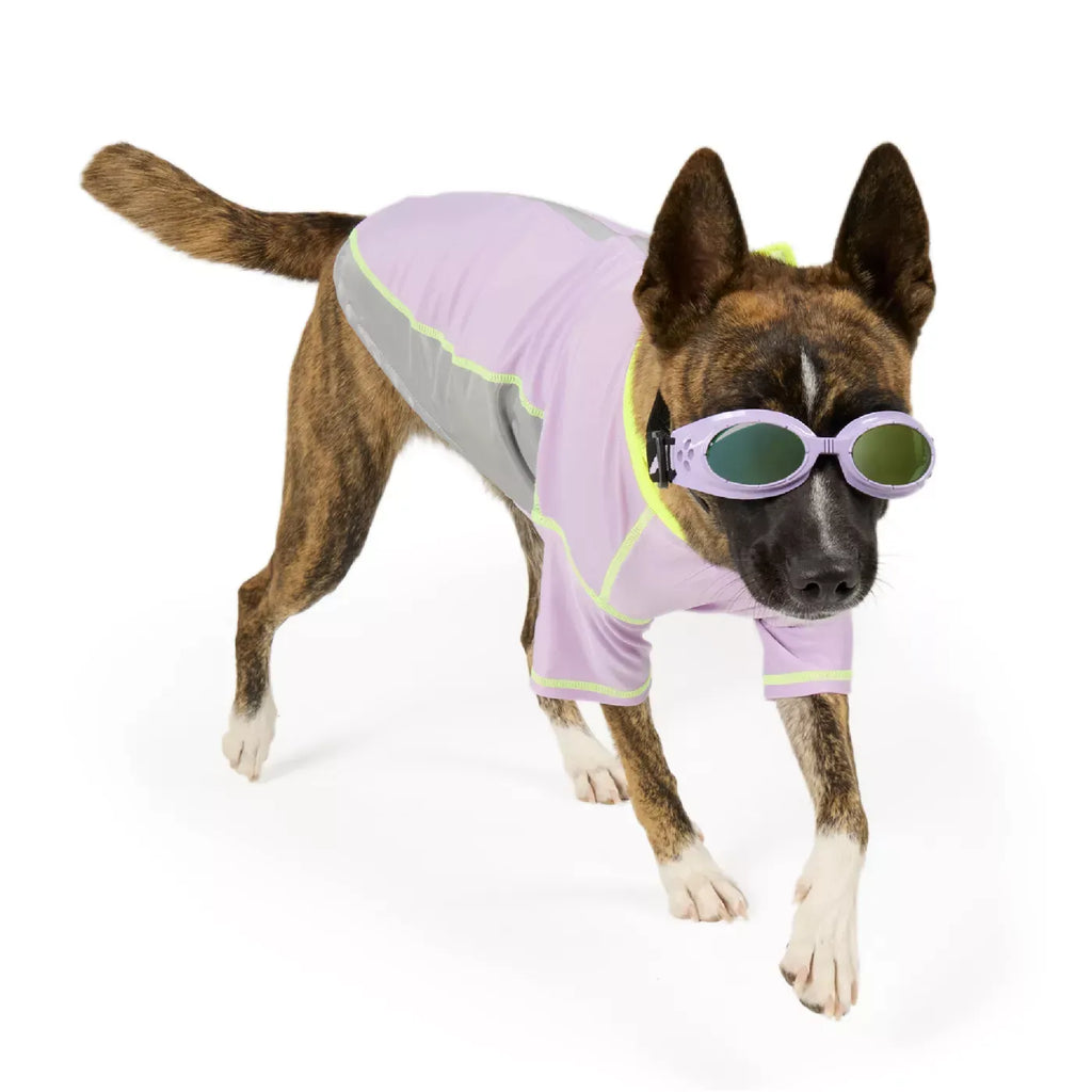 Arcadia Trail® UV Goggles
