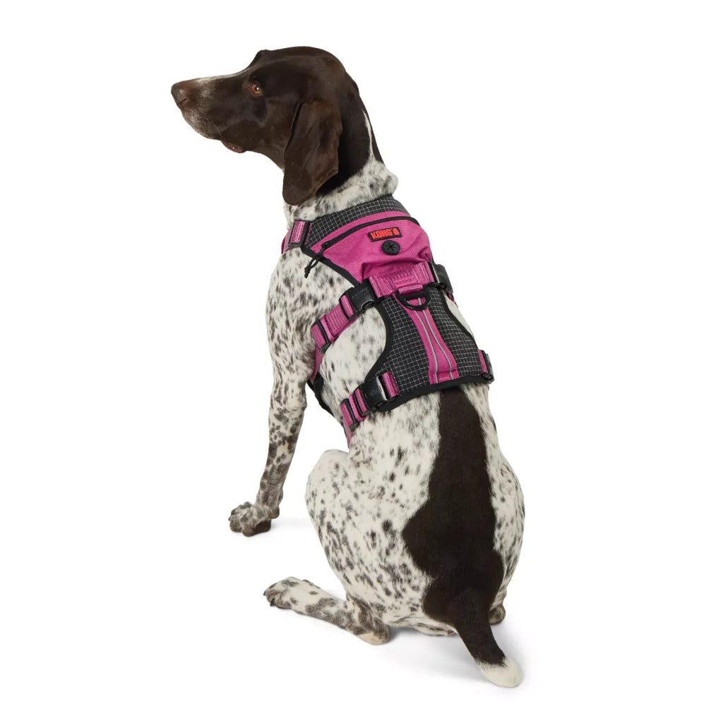 Kong® Safety Adjustable Dog Harness