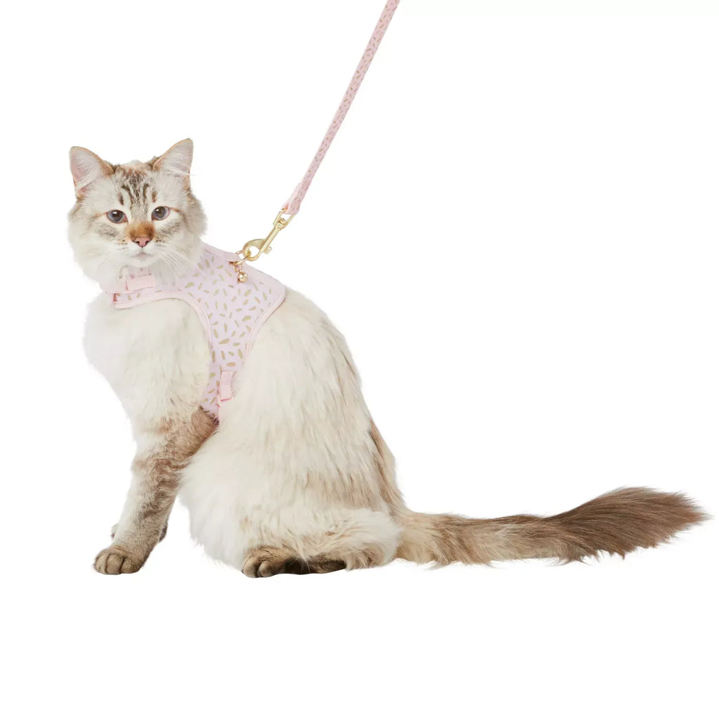 Whisker City® Pink & Gold Cat Harness & Leash Combo Set, Comfortable, Adjustable, Multiple Sizes