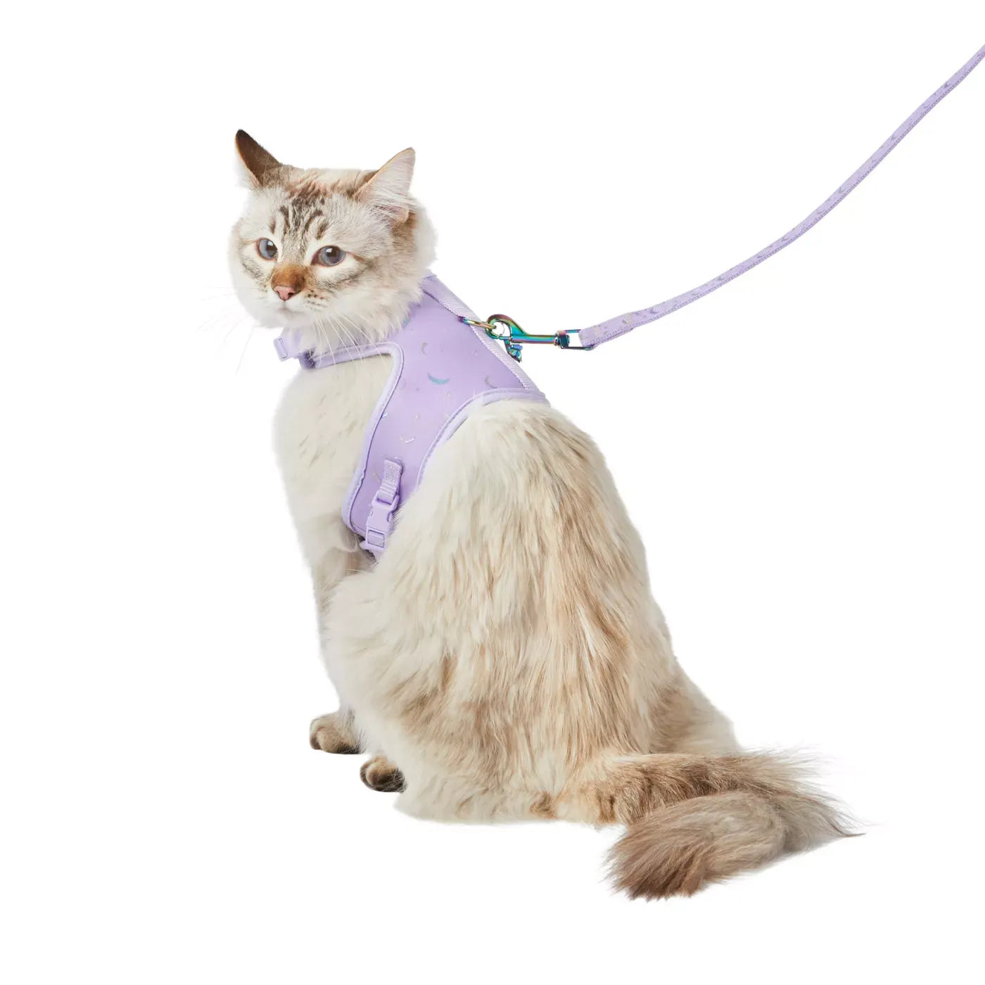 Whisker City® Cat Leash & Harness Combo, Purple Moons