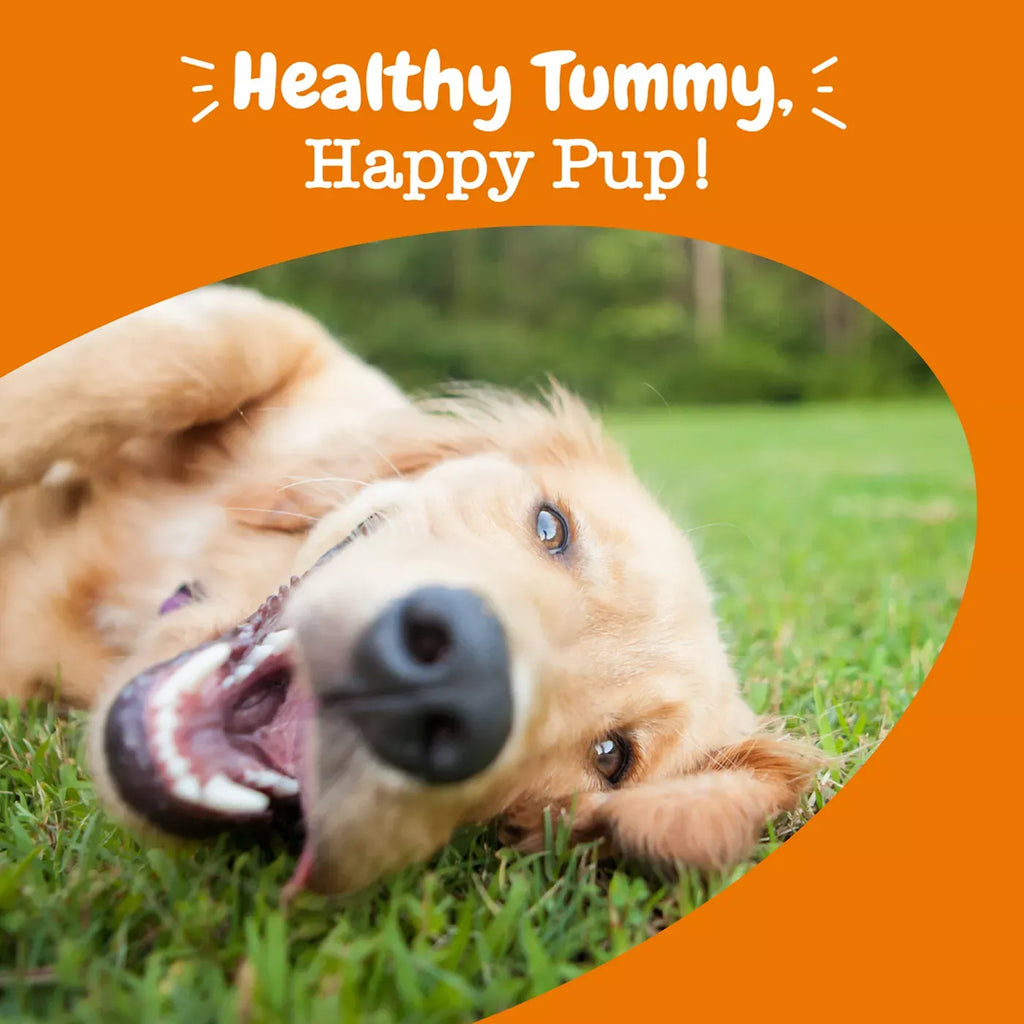 Zesty Paws Probiotic Chews - Pumpkin