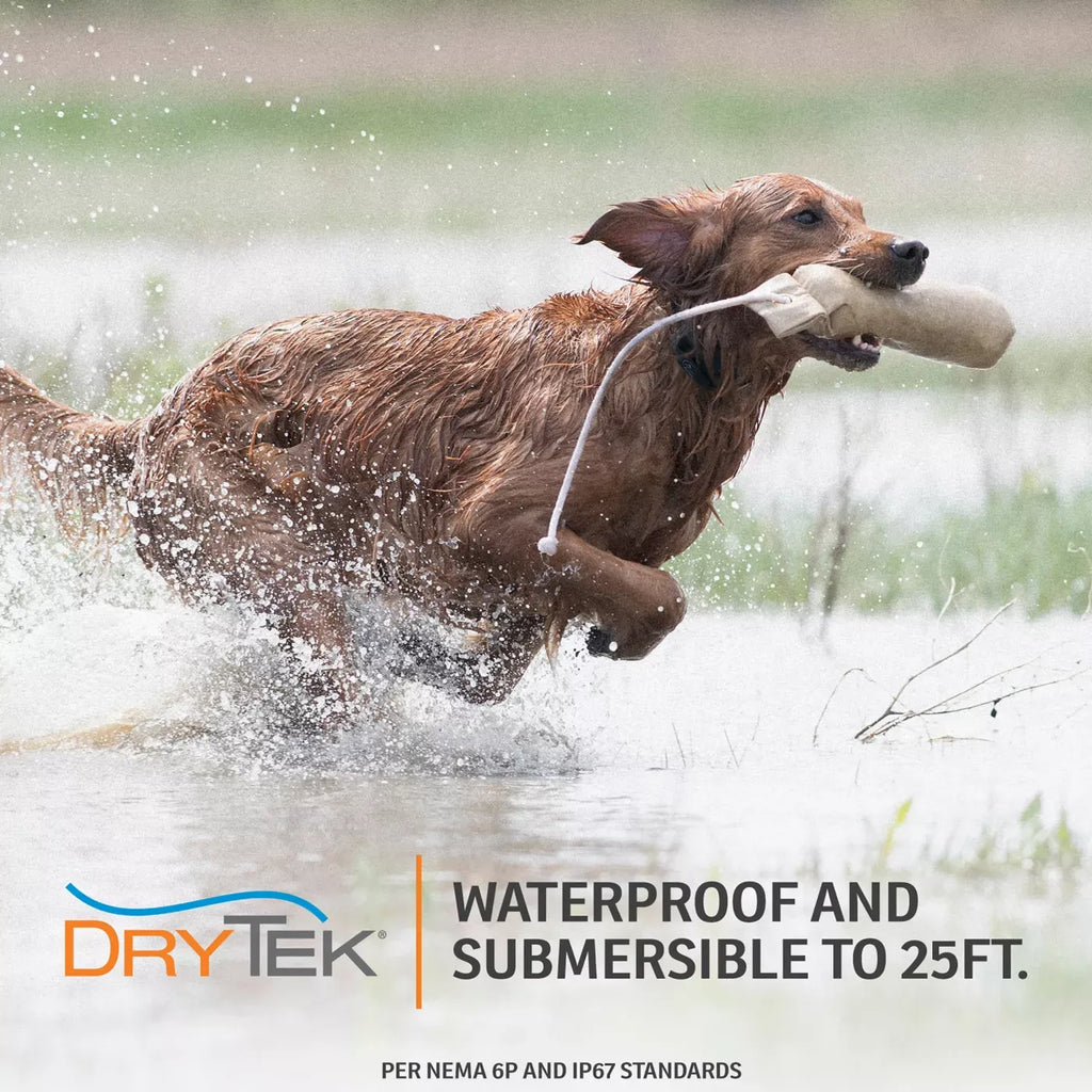SportDOG® Brand NoBark 10 Collar - Rechargeable - Waterproof & Submersible - Black