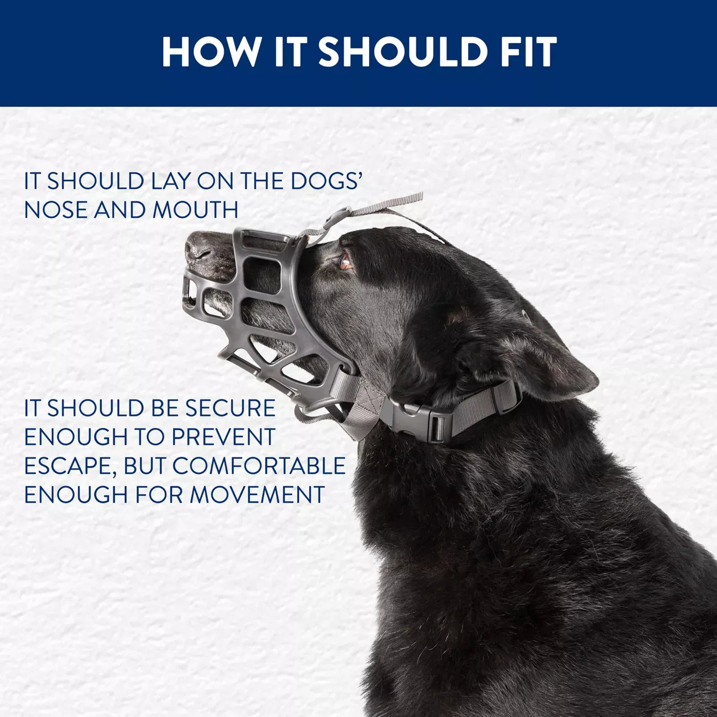 Top Paw® Adjustable Basket Dog Muzzle
