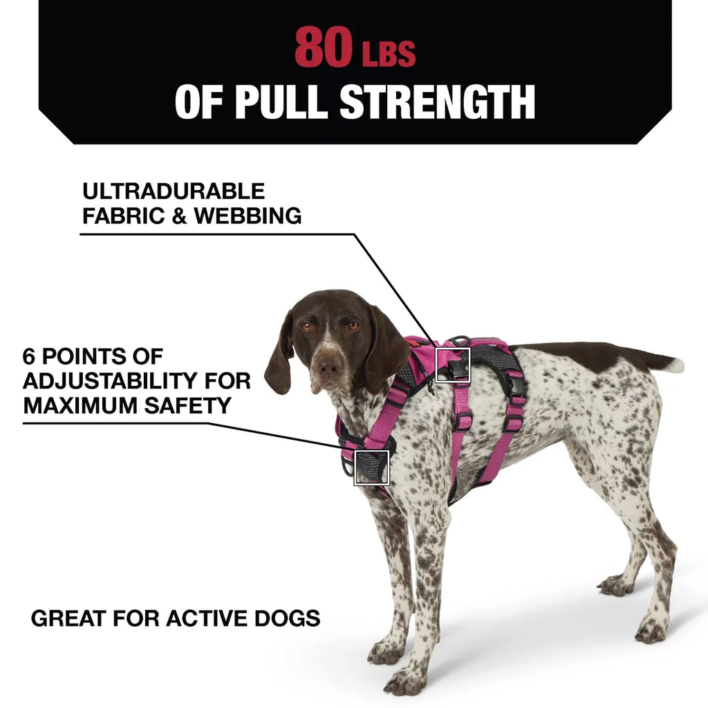 Kong® Safety Adjustable Dog Harness