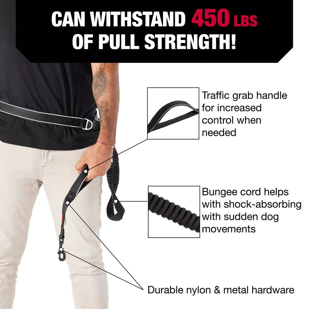 KONG® Shock Absorbing, Hands-Free, Dog Leash, 6-ft long