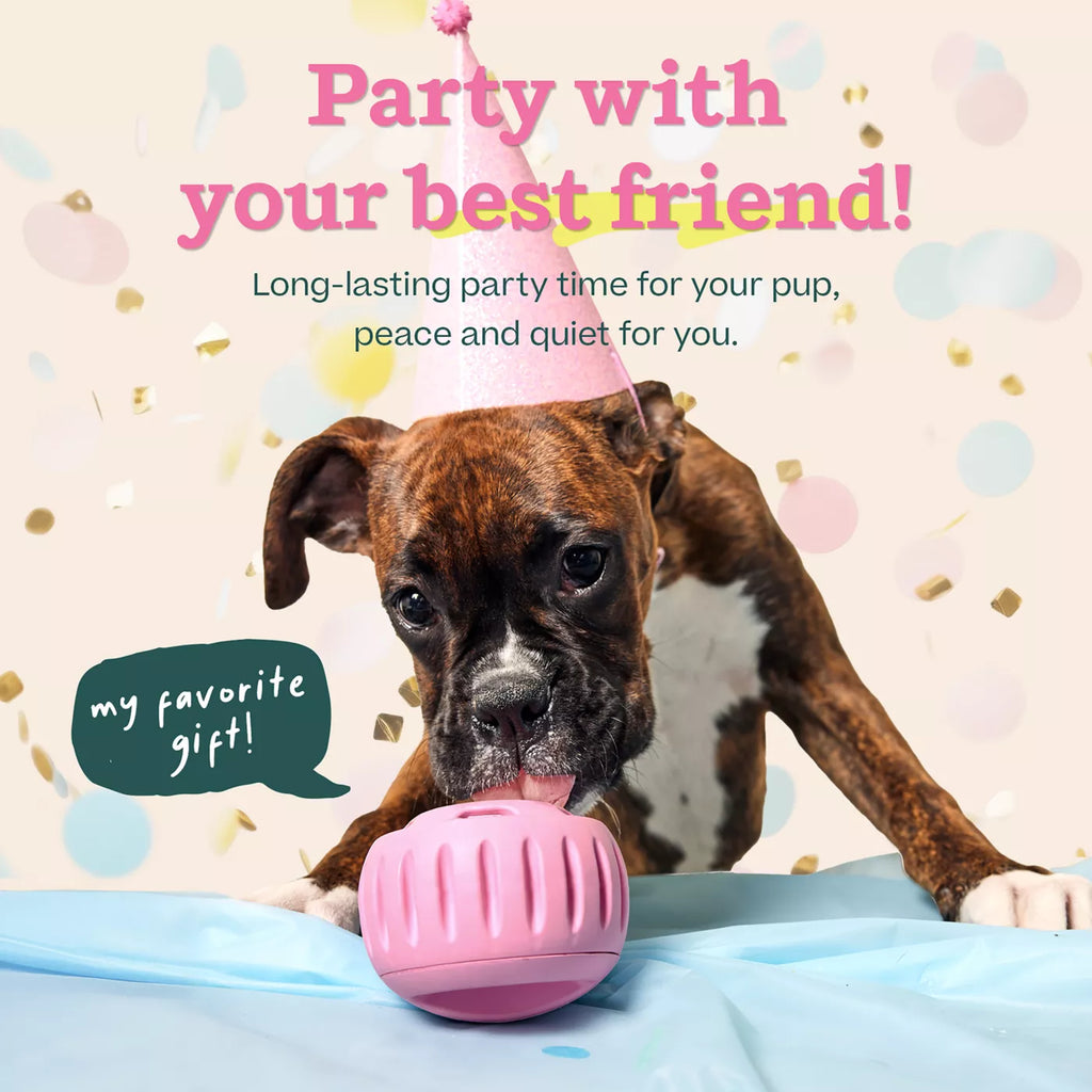 WOOF Pupsicle Treat-Dispensing Dog Toy, Varies by Color & Size