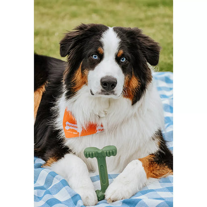 Nylabone® Power Chew Durable Dog Toy, Bacon Flavor