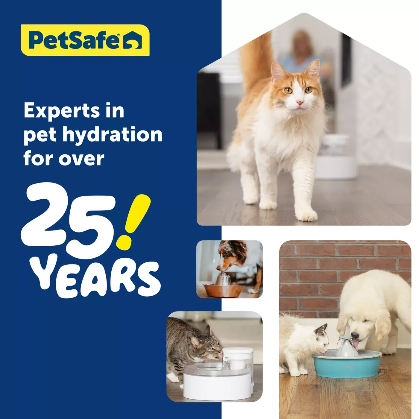 PetSafe® Outlast Pumpless Hydrospin Water Fountain 60 oz/1.7L- Water Filter Included