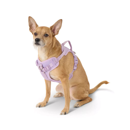 op Paw® Adjustable Neoprene Comfort Dog Harness, Multiple Colors & Sizes