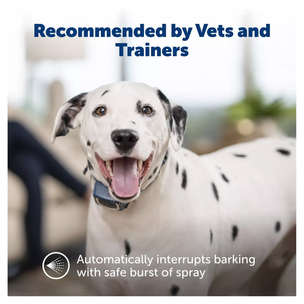 PetSafe® Spray Bark Dog Collar - Dogs 8 lb+ - Citronella and Unscented Spray Refills - Navy