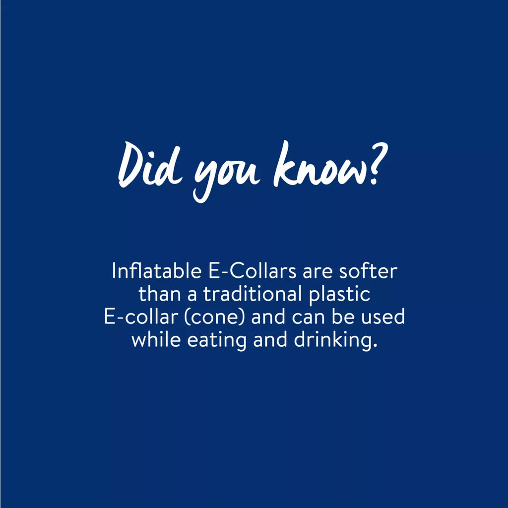 Dog MX Inflatable E-Collar Cone for Dogs, Post-Surgery & Hot Spot Healing, Blue, Multiple Sizes