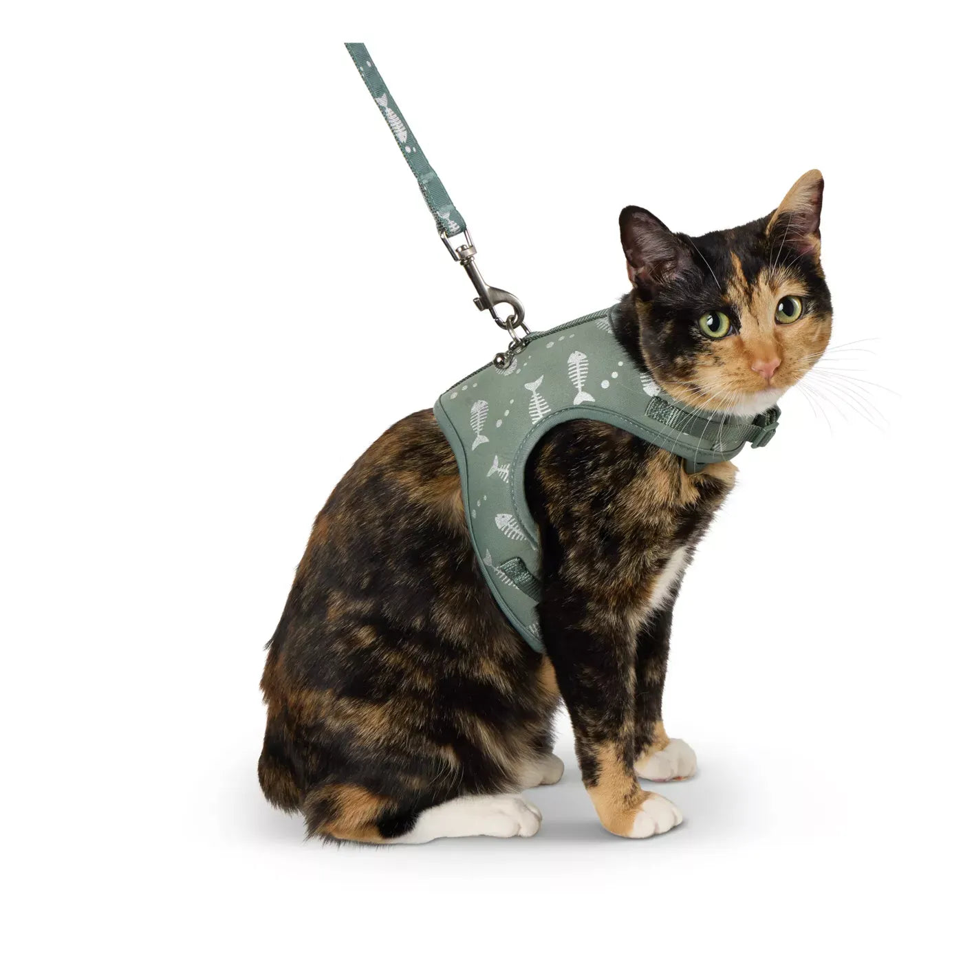 Whisker City Fish Foil Cat Harness and Leash Combo Set