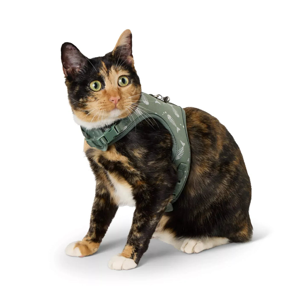 Whisker City Fish Foil Cat Harness and Leash Combo Set