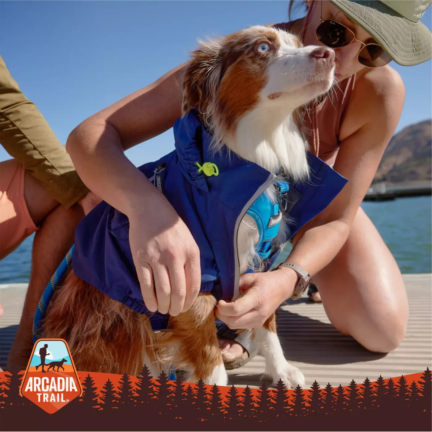 Arcadia Trail® Waterproof Dog Windbreaker Jacket