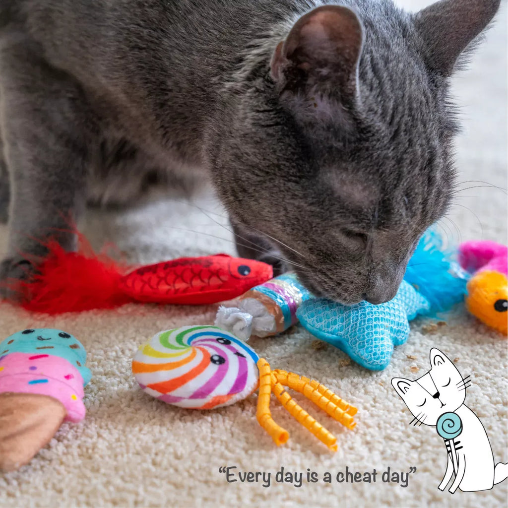 Catstages Kitty Sweet Treats Catnip Cat Toy 6-Pack