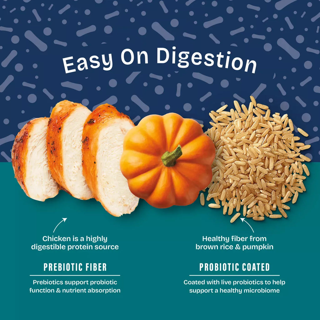 Natural Balance Health Protection Adult Dry Dog Food - Chicken, Brown Rice & Pumpkin
