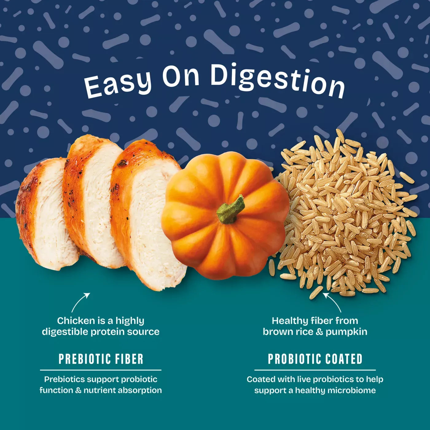 Natural Balance Health Protection Adult Dry Dog Food - Chicken, Brown Rice & Pumpkin