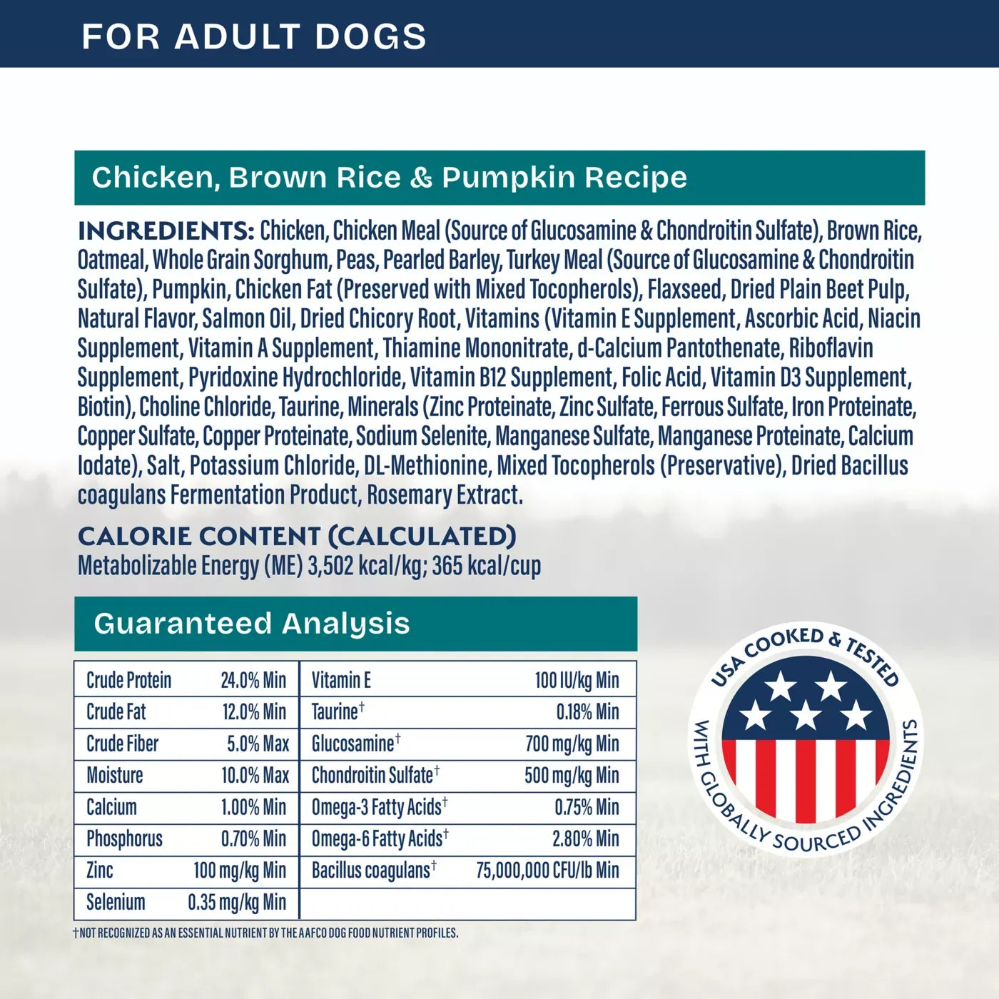 Natural Balance Health Protection Adult Dry Dog Food - Chicken, Brown Rice & Pumpkin