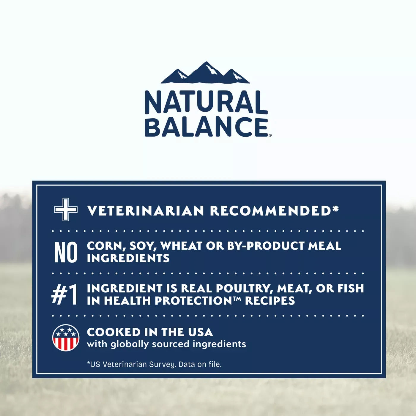 Natural Balance Health Protection Adult Dry Dog Food - Chicken, Brown Rice & Pumpkin