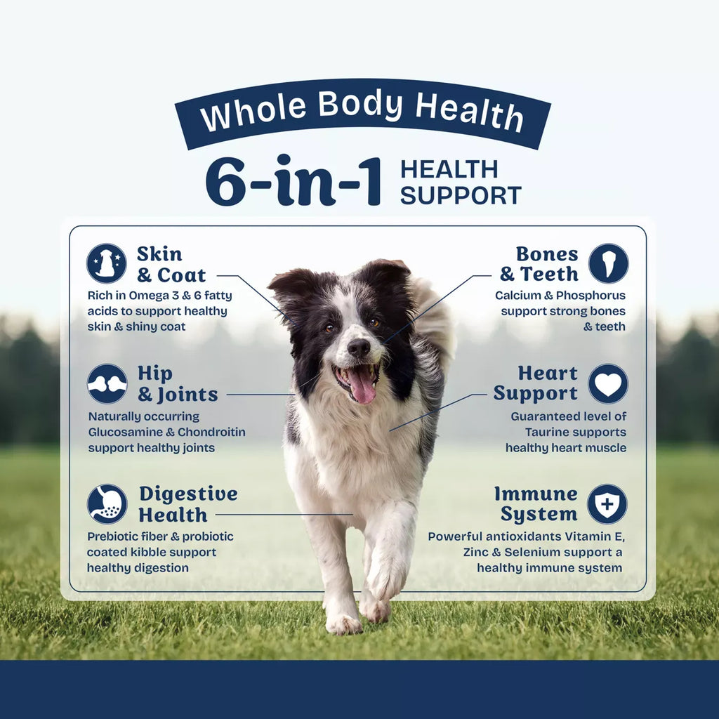 Natural Balance Health Protection Adult Dry Dog Food - Chicken, Brown Rice & Pumpkin