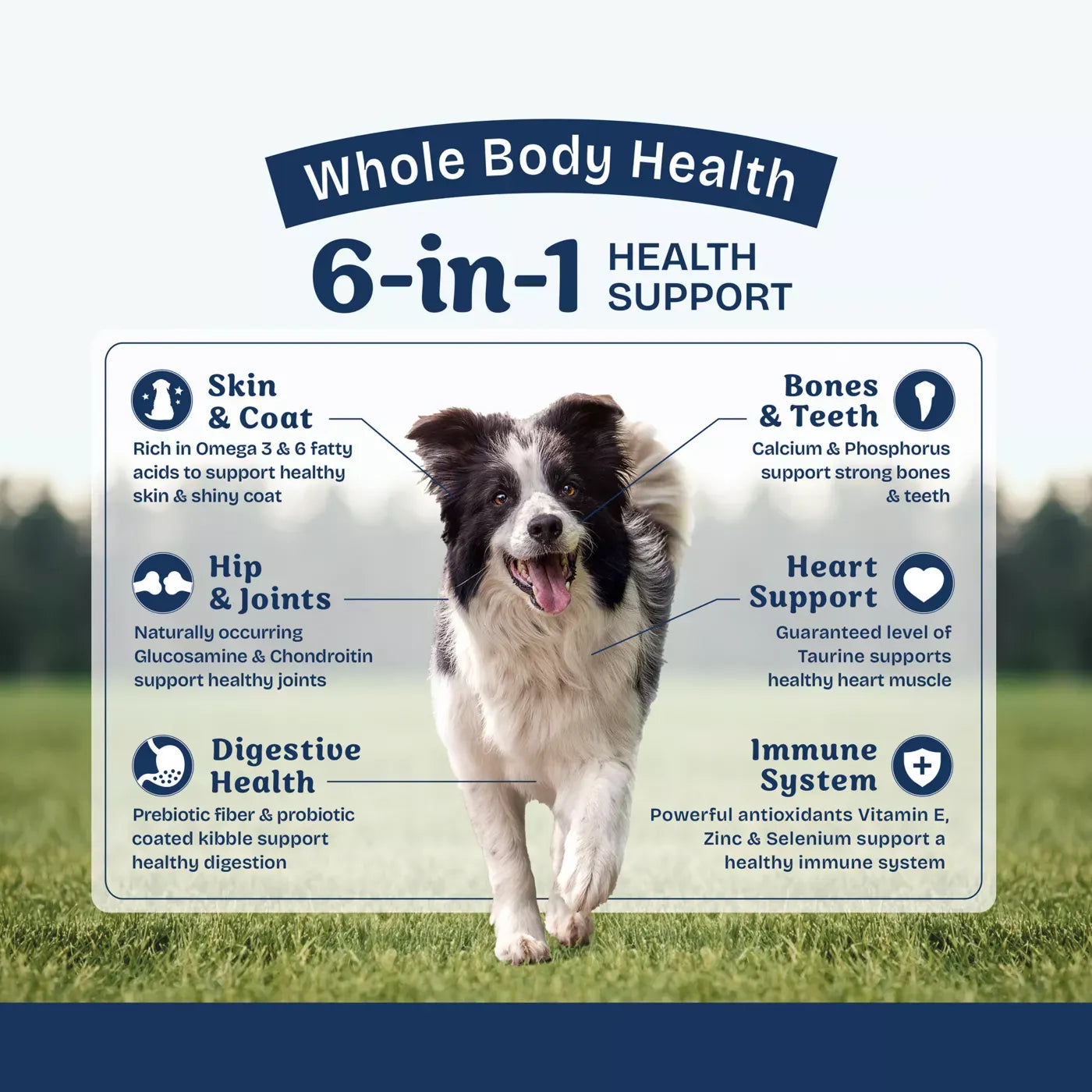 Natural Balance Health Protection Adult Dry Dog Food - Chicken, Brown Rice & Pumpkin