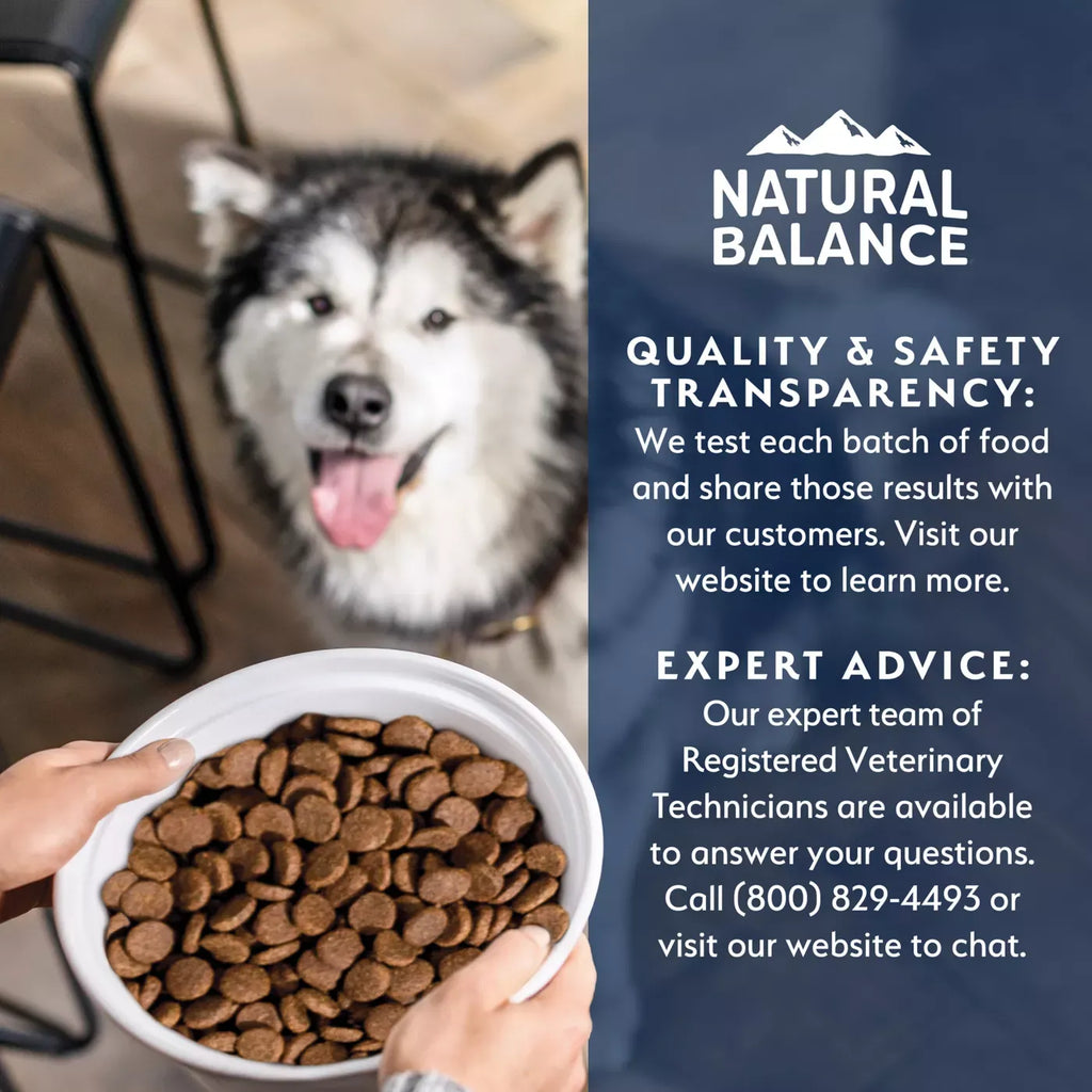 Natural Balance Health Protection Adult Dry Dog Food - Chicken, Brown Rice & Pumpkin