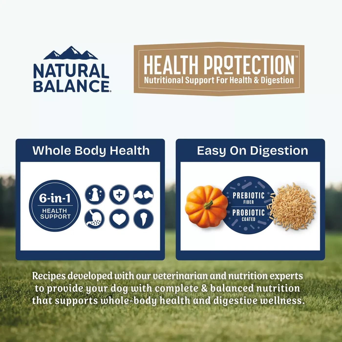 Natural Balance Health Protection Adult Dry Dog Food - Chicken, Brown Rice & Pumpkin